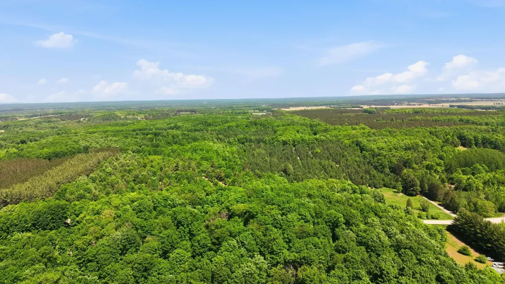 3982 SE Mitchell Road Orange Township, MI 49646