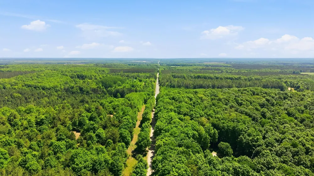 3982 SE Mitchell Road Orange Township, MI 49646