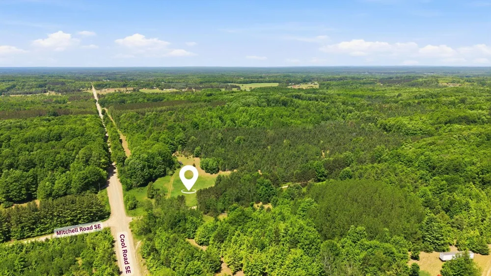 3982 SE Mitchell Road Orange Township, MI 49646