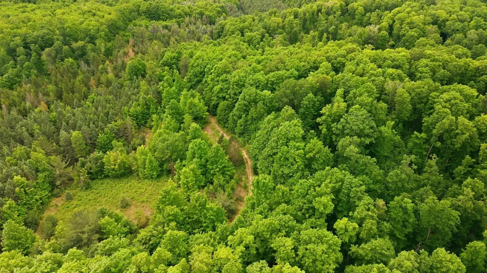 3982 SE Mitchell Road Orange Township, MI 49646