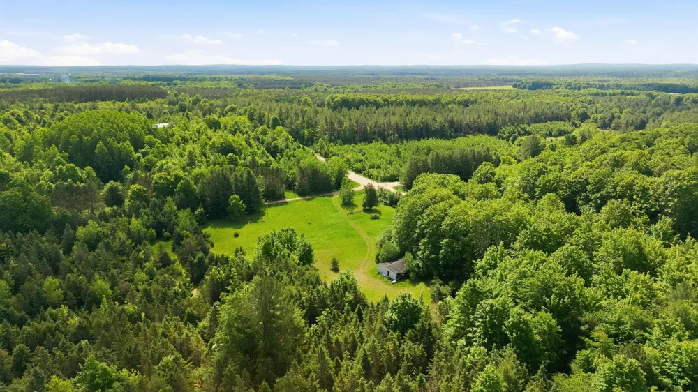 3982 SE Mitchell Road Orange Township, MI 49646