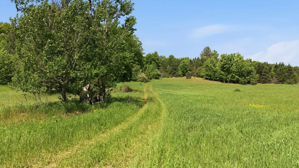 3982 SE Mitchell Road Orange Township, MI 49646