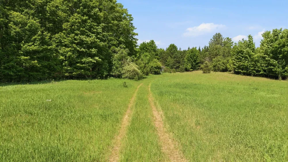 3982 SE Mitchell Road Orange Township, MI 49646