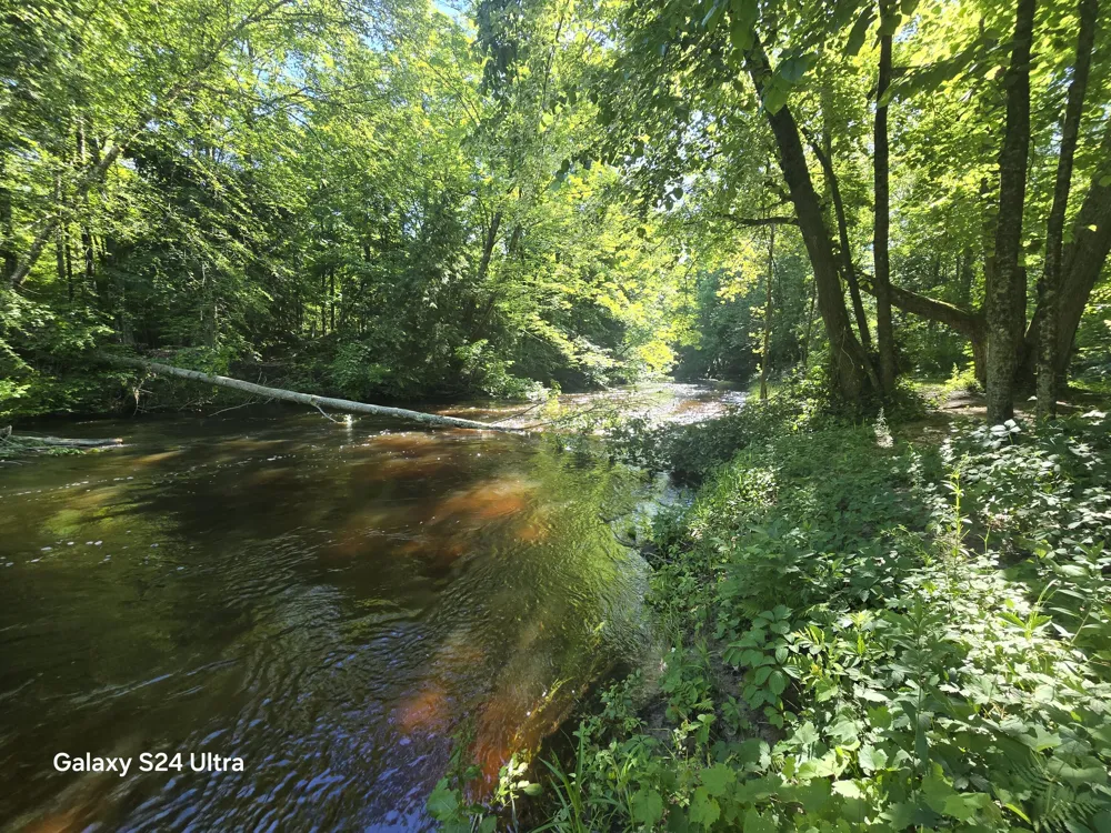 7455 Mcclellan Road Maple Grove Township, MI 49645