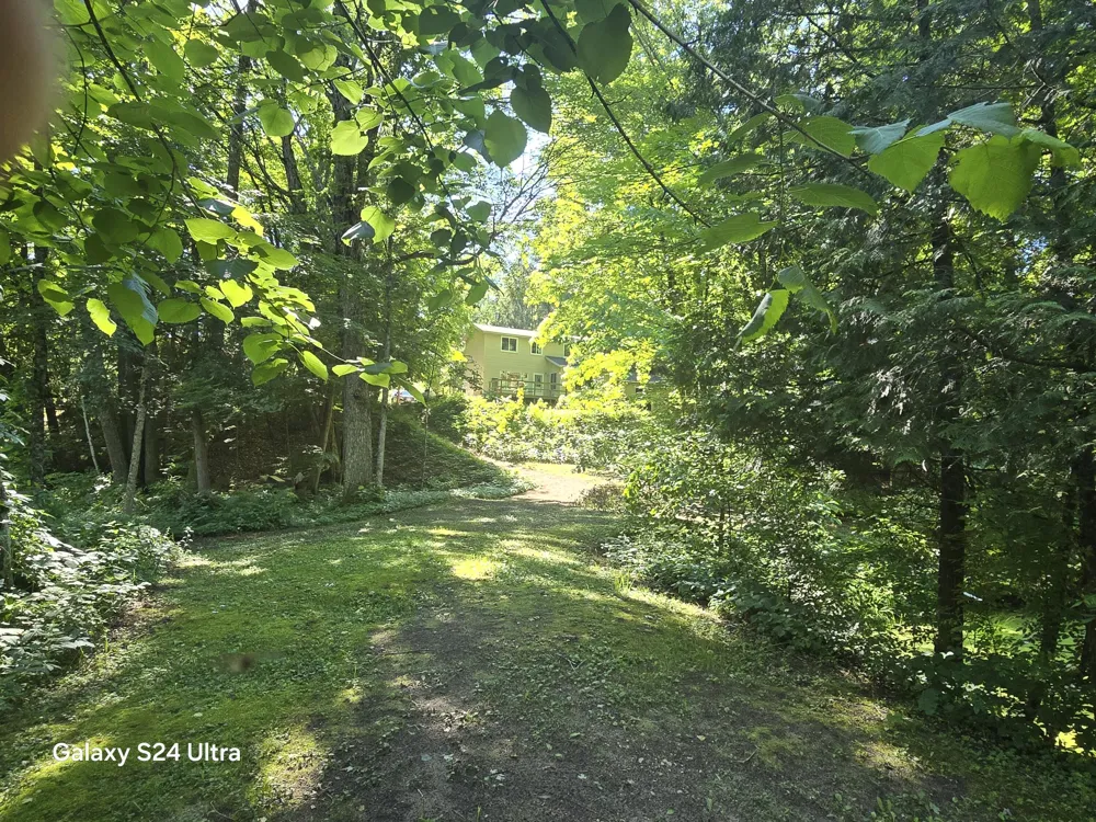 7455 Mcclellan Road Maple Grove Township, MI 49645