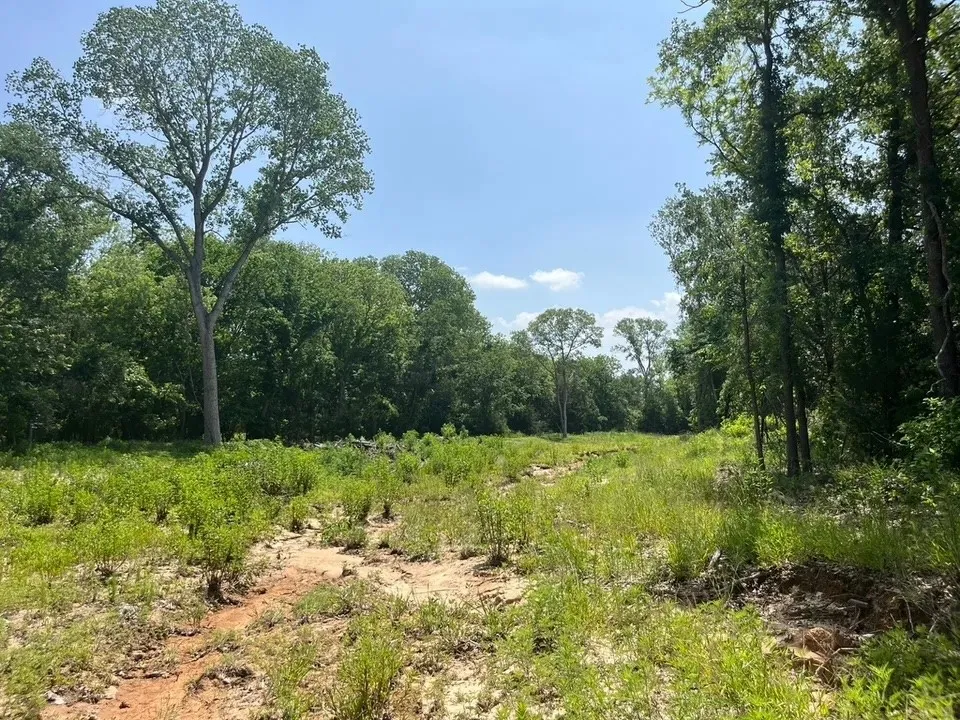 Antrim Ct Poolville, TX 76487