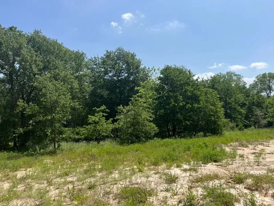Antrim Ct Poolville, TX 76487