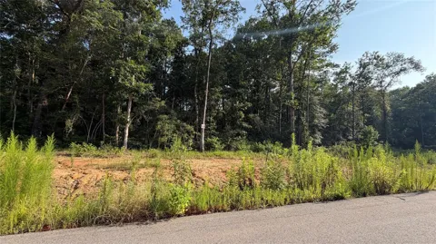 241 County Road 6311