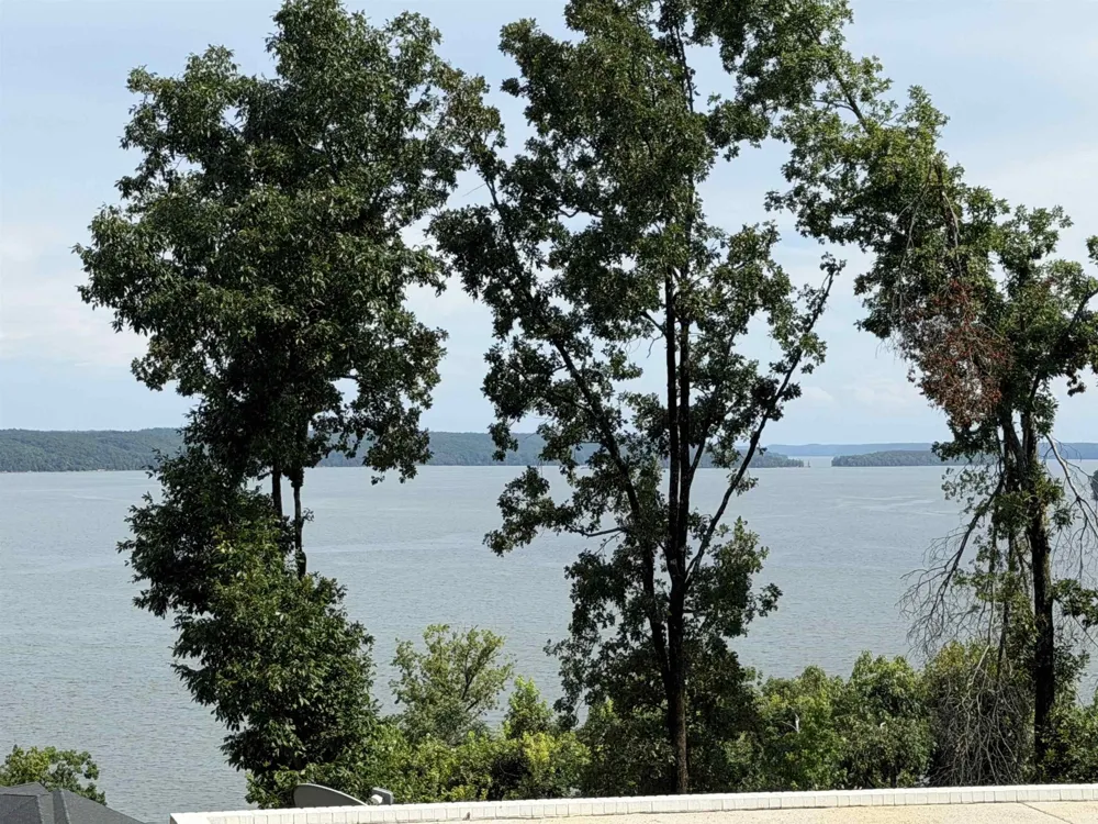 80 ENDLESS VIEW RDG Savannah, TN 38372