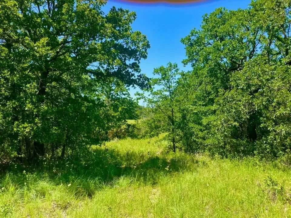 Galway Rd Poolville, TX 76487