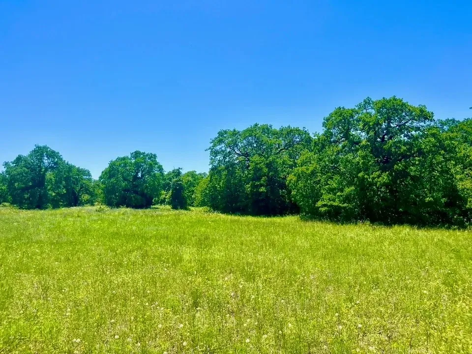 Galway Rd Poolville, TX 76487