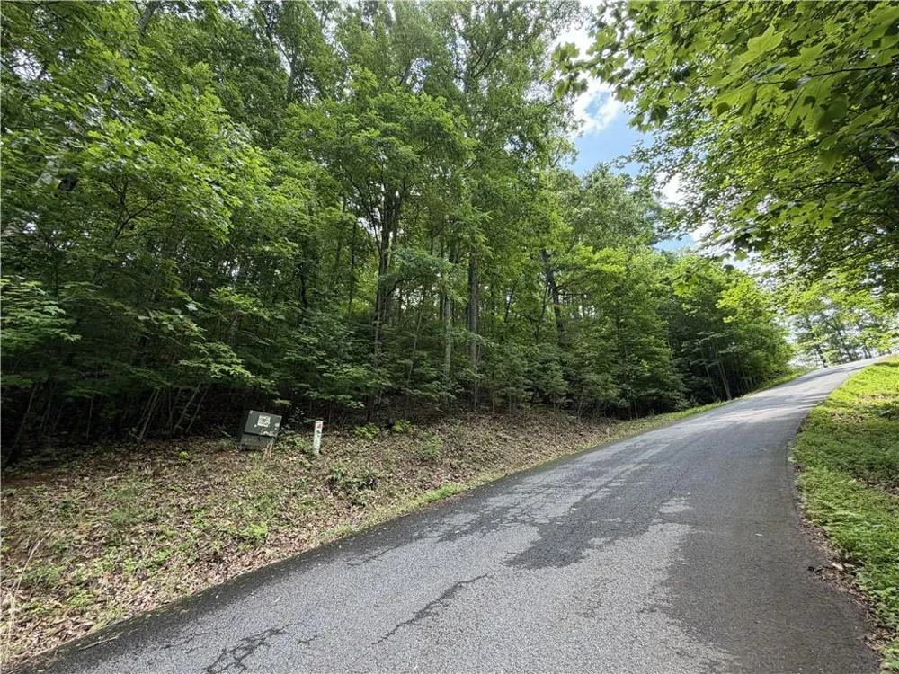 Lot 7 Mill Ridge Road Hiawassee, GA 30546