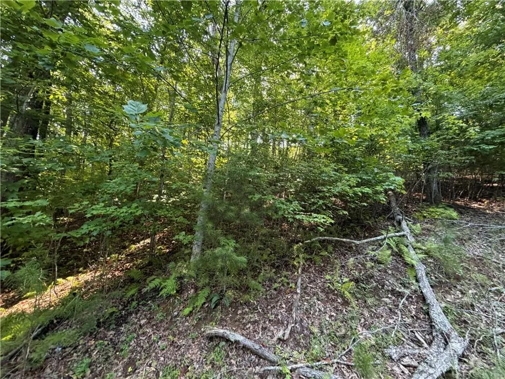 Lot 7 Mill Ridge Road Hiawassee, GA 30546