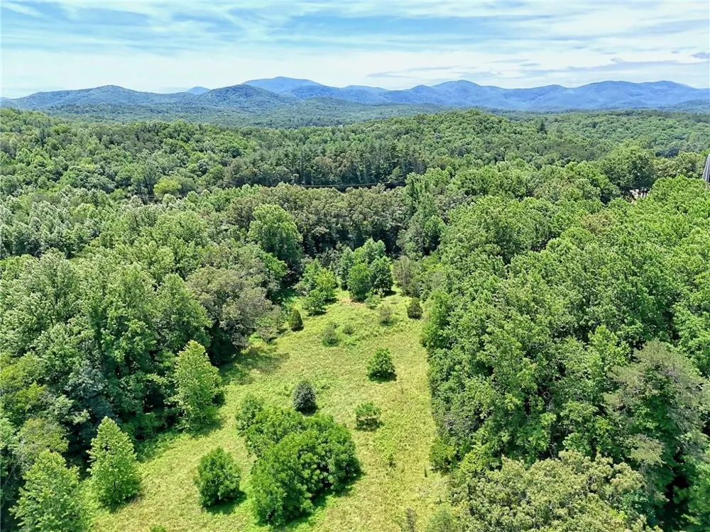 LT 302 Hwy 515 Blairsville, GA 30512