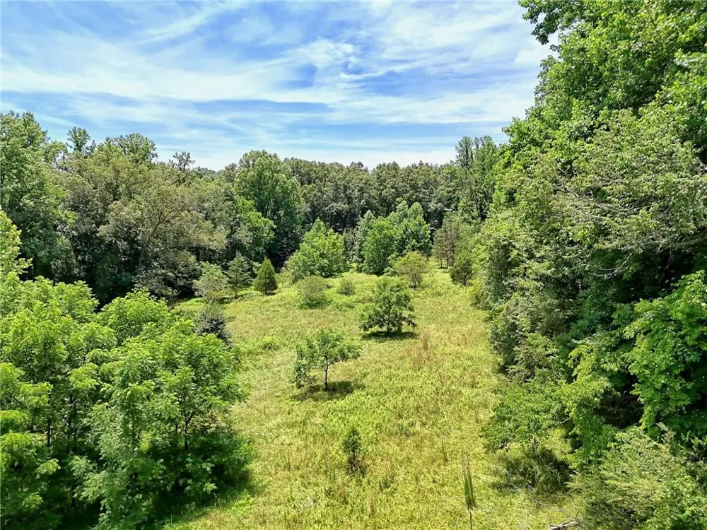 LT 302 Hwy 515 Blairsville, GA 30512