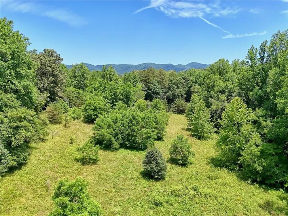 LT 302 Hwy 515 Blairsville, GA 30512