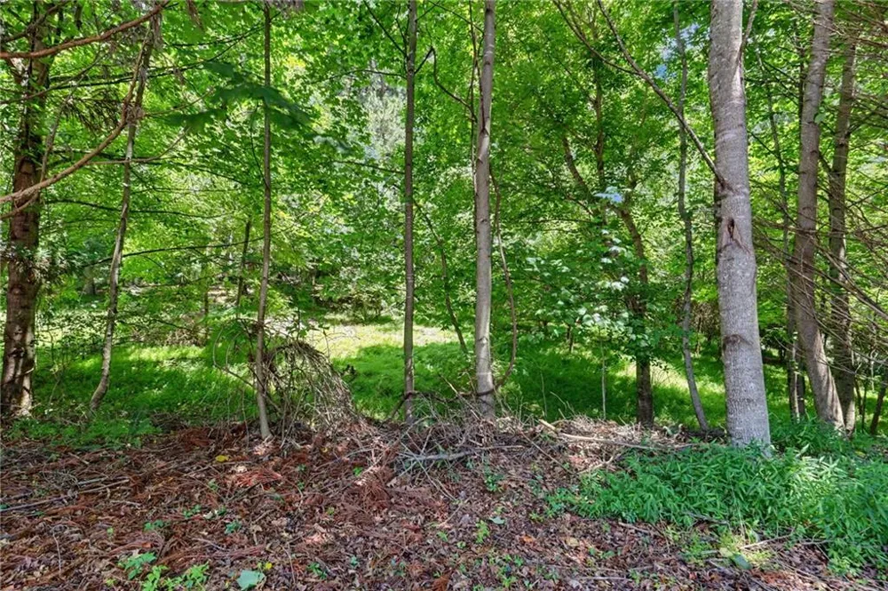 LT 302 Hwy 515 Blairsville, GA 30512