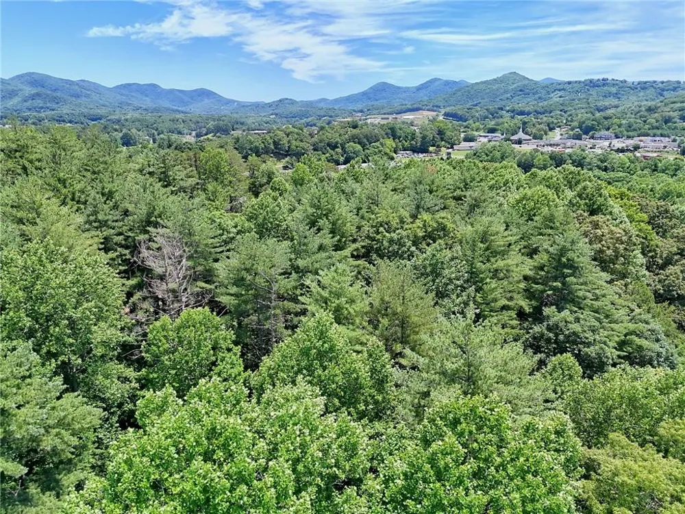 LT 302 Hwy 515 Blairsville, GA 30512