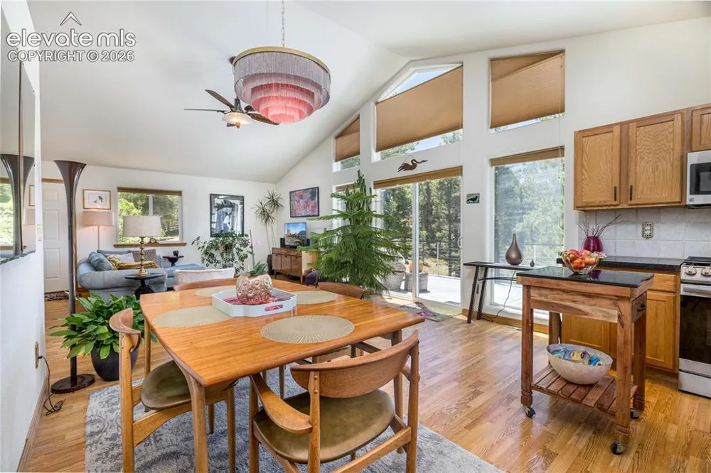 161 Wahsatch Road Florissant, CO 80816
