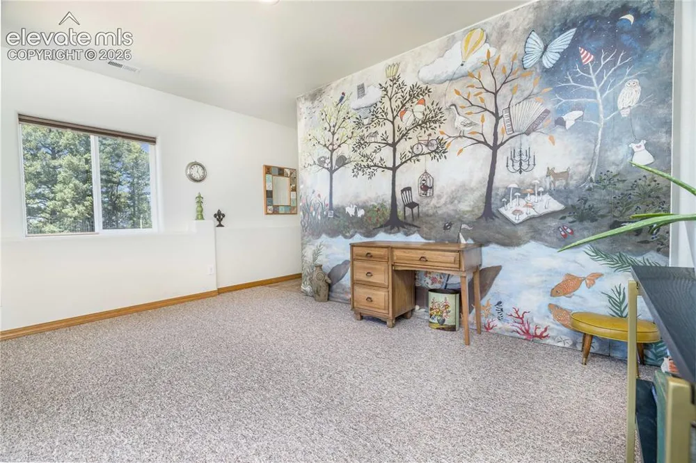 161 Wahsatch Road Florissant, CO 80816