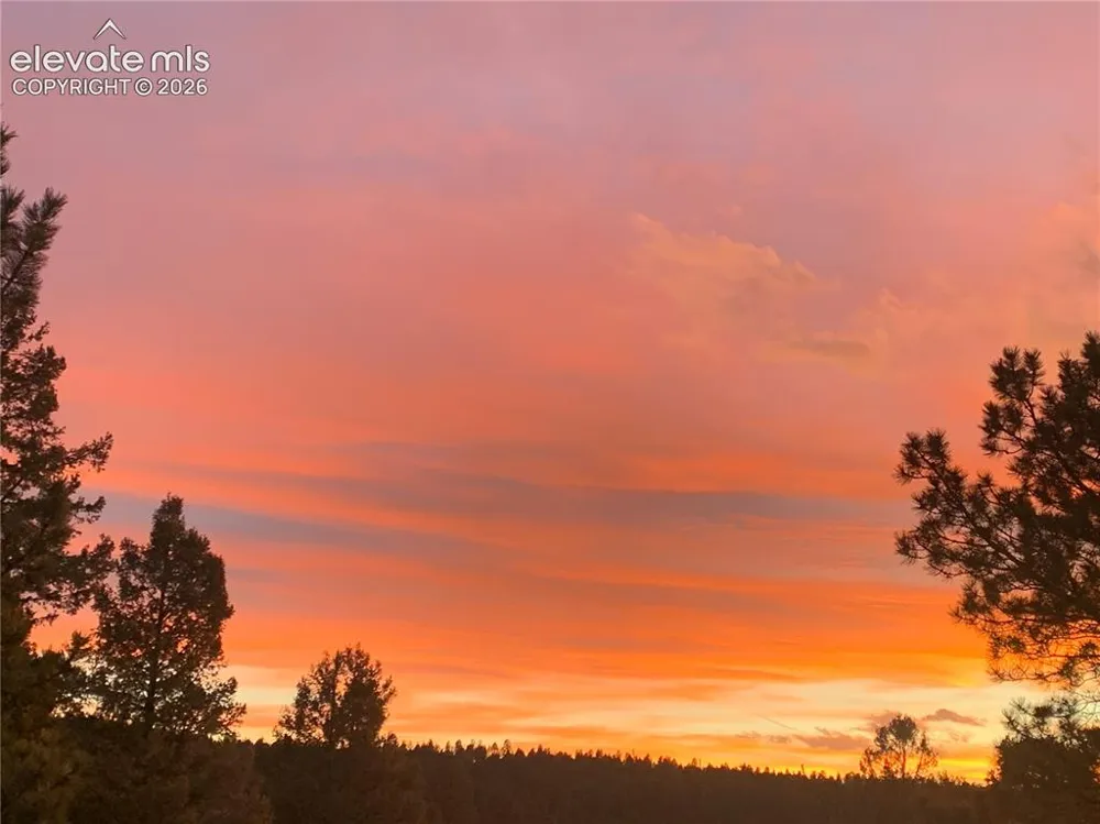 161 Wahsatch Road Florissant, CO 80816