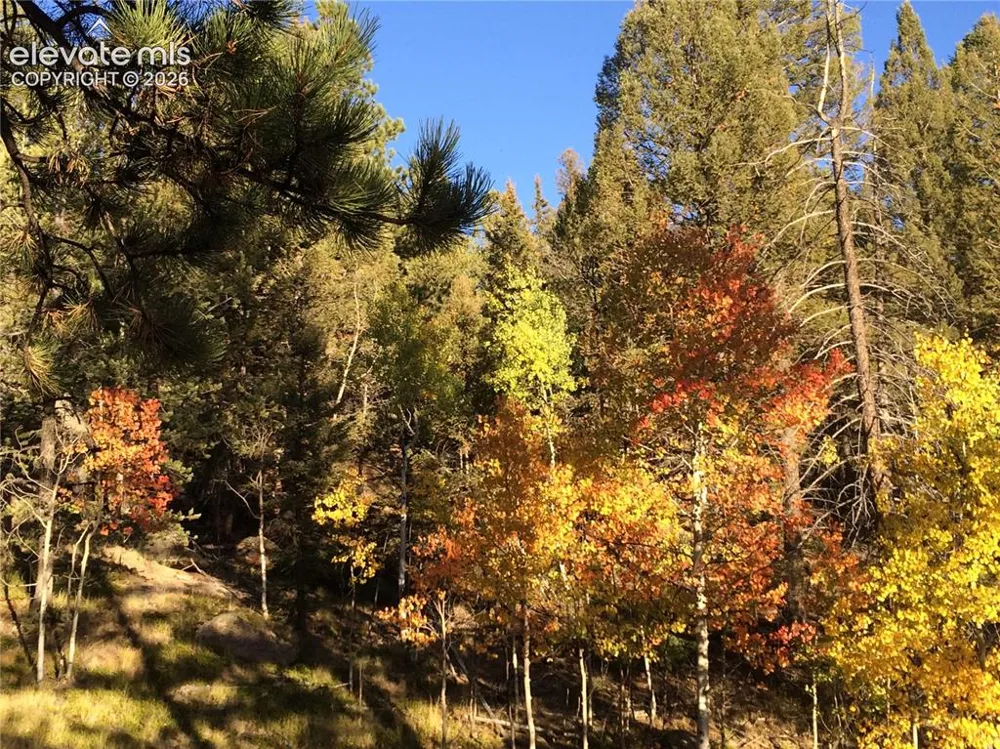 161 Wahsatch Road Florissant, CO 80816