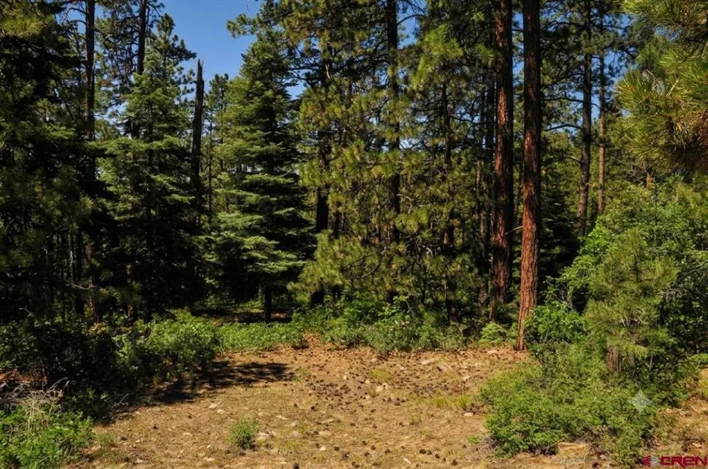 176 Big Timber Drive Bayfield, CO 81122