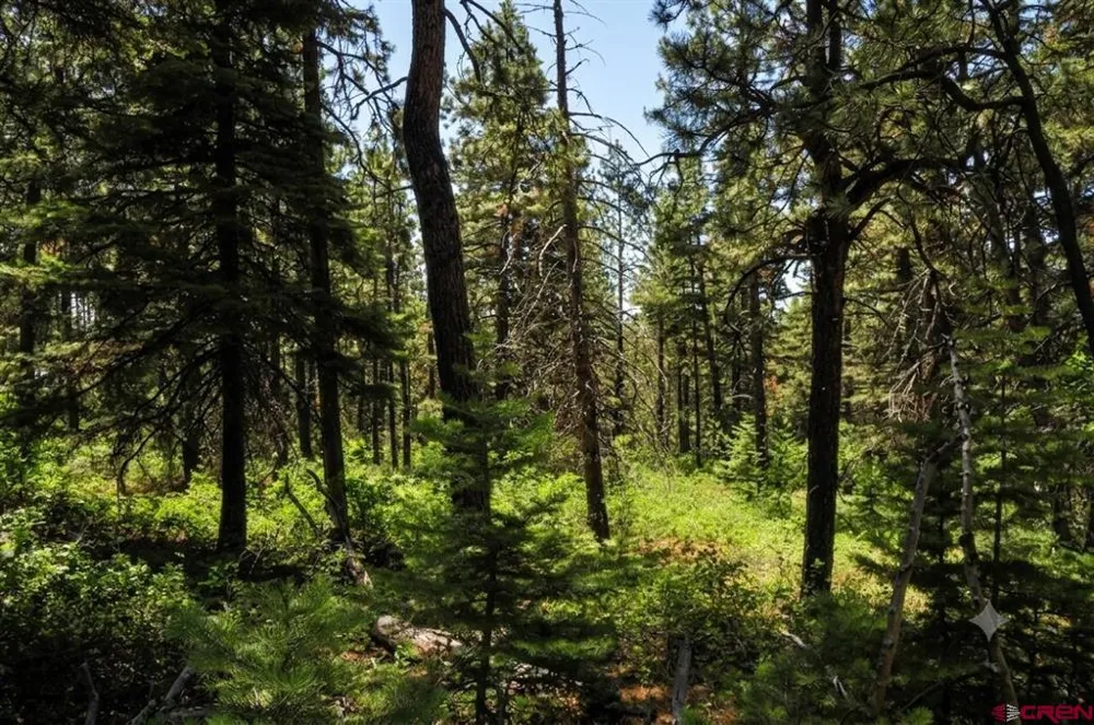 176 Big Timber Drive Bayfield, CO 81122