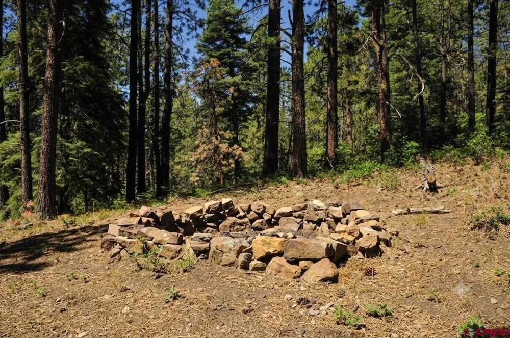 176 Big Timber Drive Bayfield, CO 81122