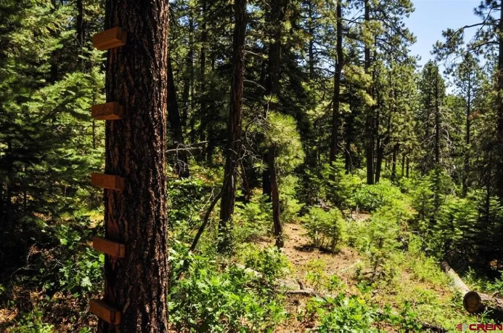 176 Big Timber Drive Bayfield, CO 81122