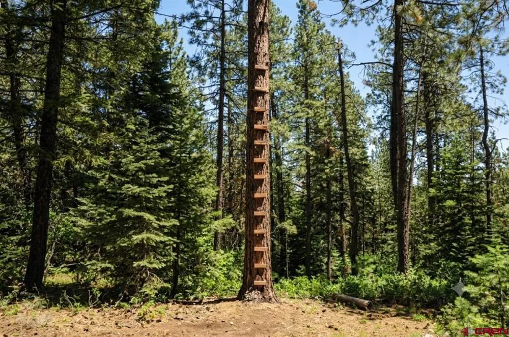 176 Big Timber Drive Bayfield, CO 81122