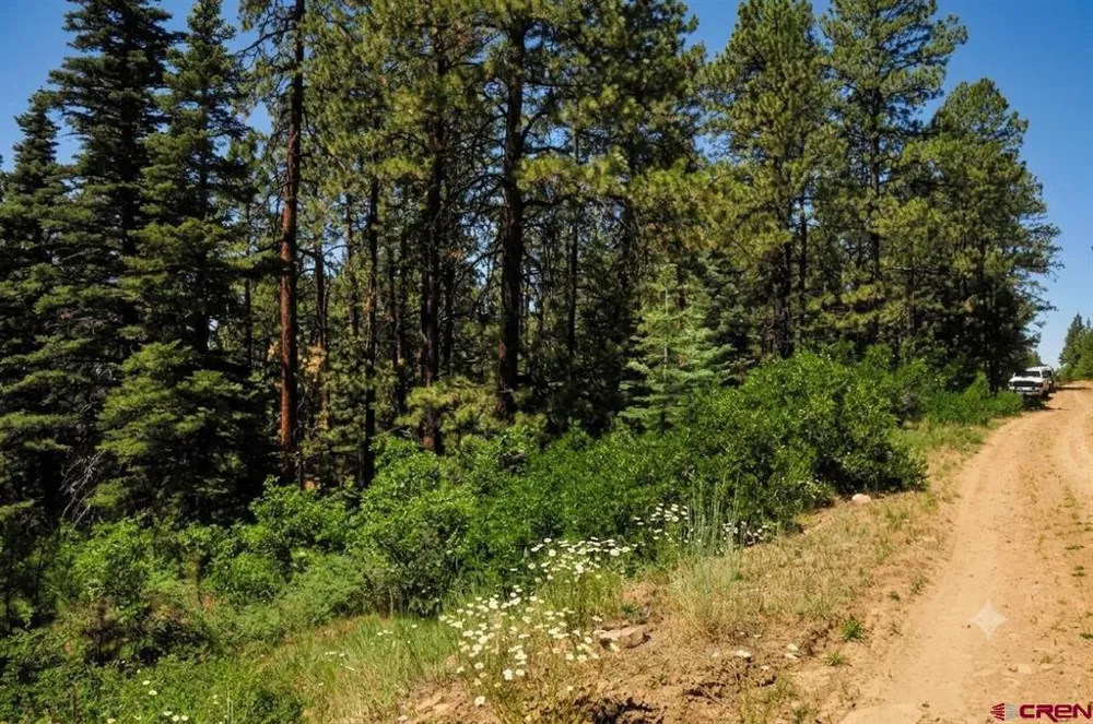 176 Big Timber Drive Bayfield, CO 81122