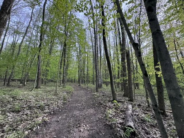 7672 E 48th Street Pinora Township, MI 49623