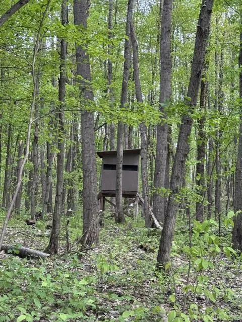 7672 E 48th Street Pinora Township, MI 49623