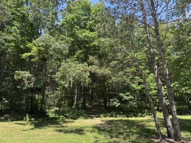 7672 E 48th Street Pinora Township, MI 49623