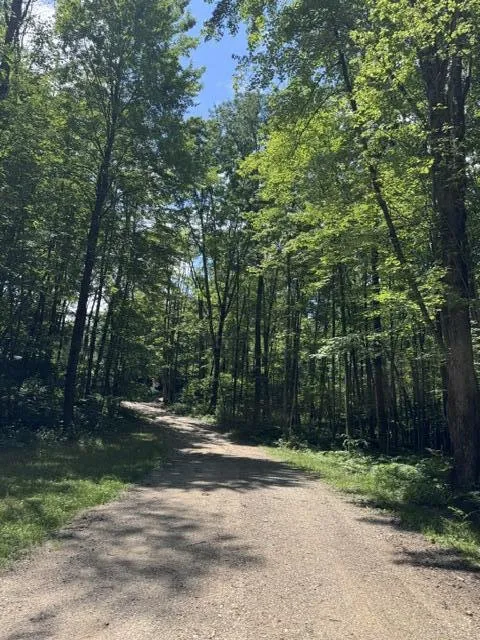 7672 E 48th Street Pinora Township, MI 49623