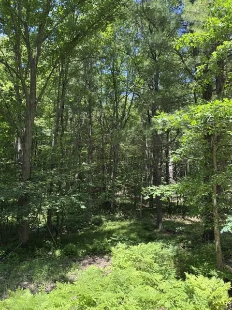 7672 E 48th Street Pinora Township, MI 49623