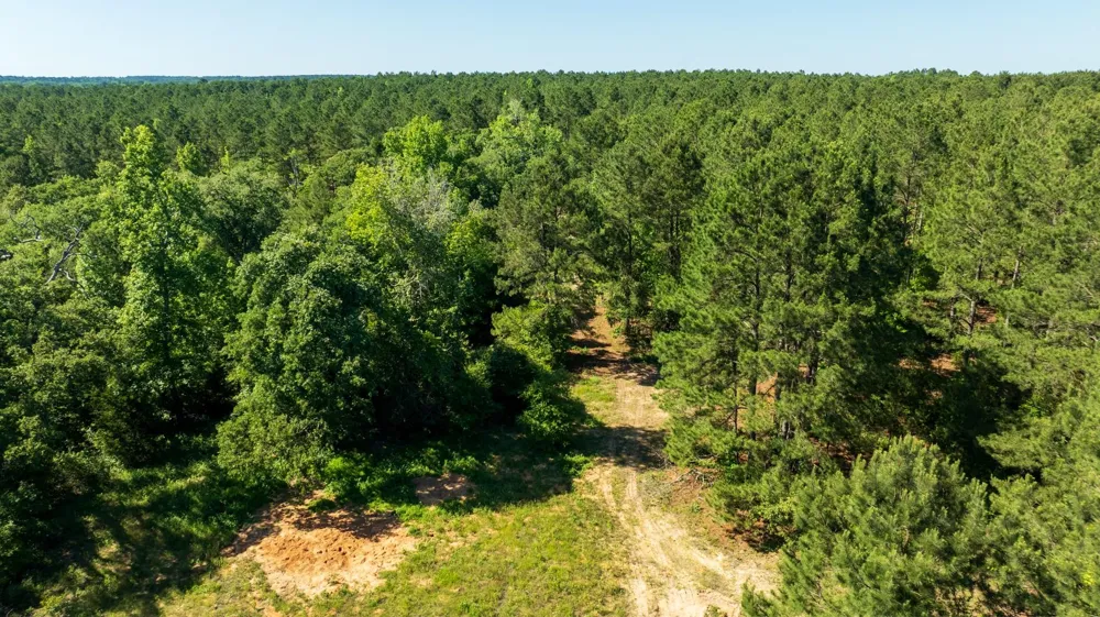Fm 3016 Grapeland, TX 75844