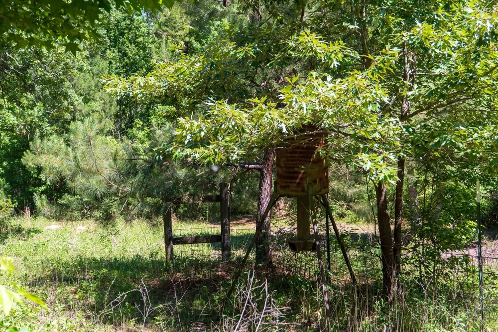 Fm 3016 Grapeland, TX 75844