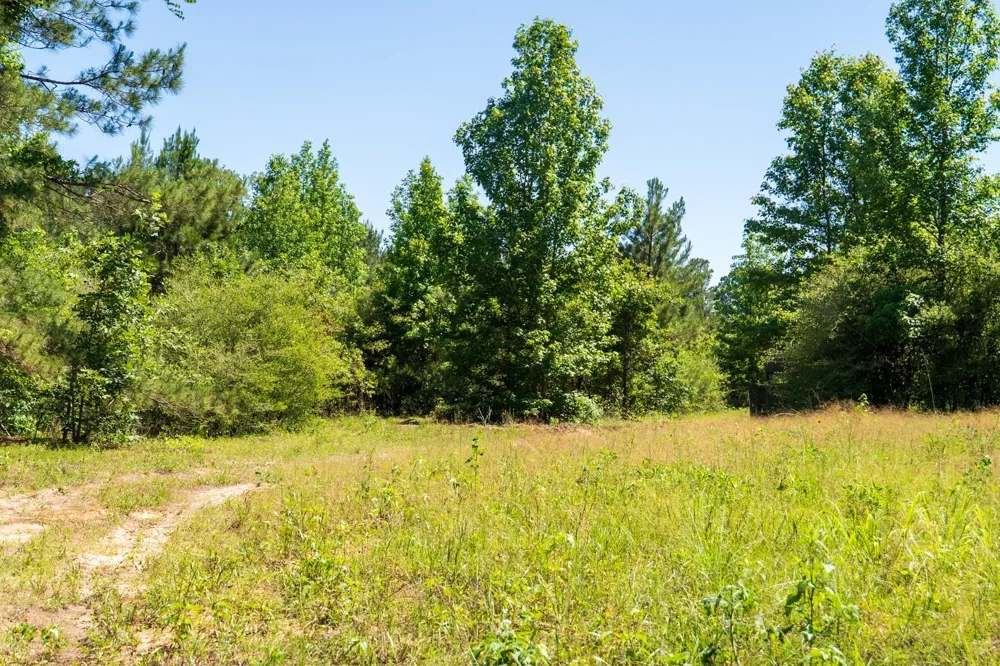 Fm 3016 Grapeland, TX 75844
