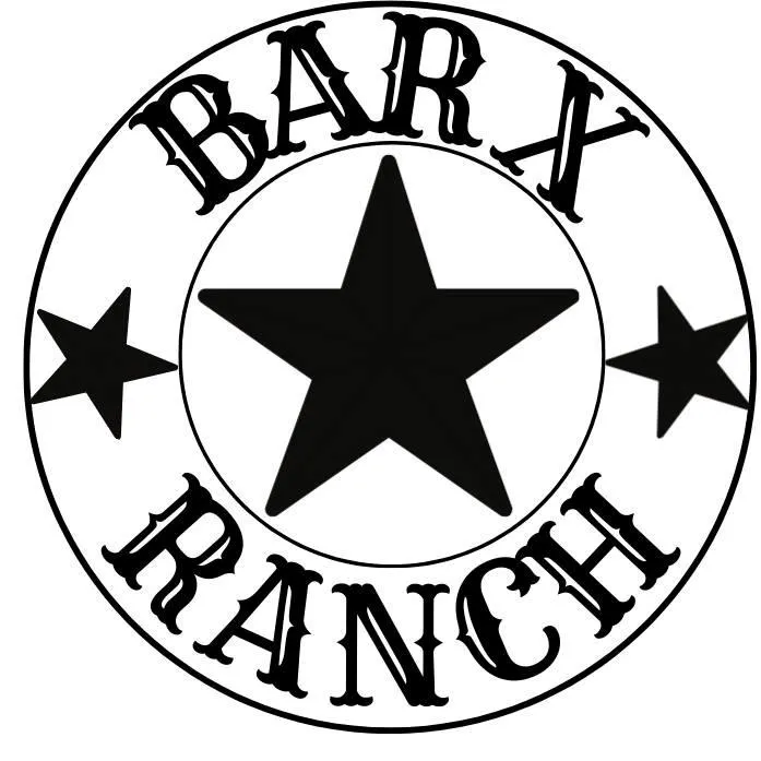 814 Chuckwagon Trail Angleton, TX 77515