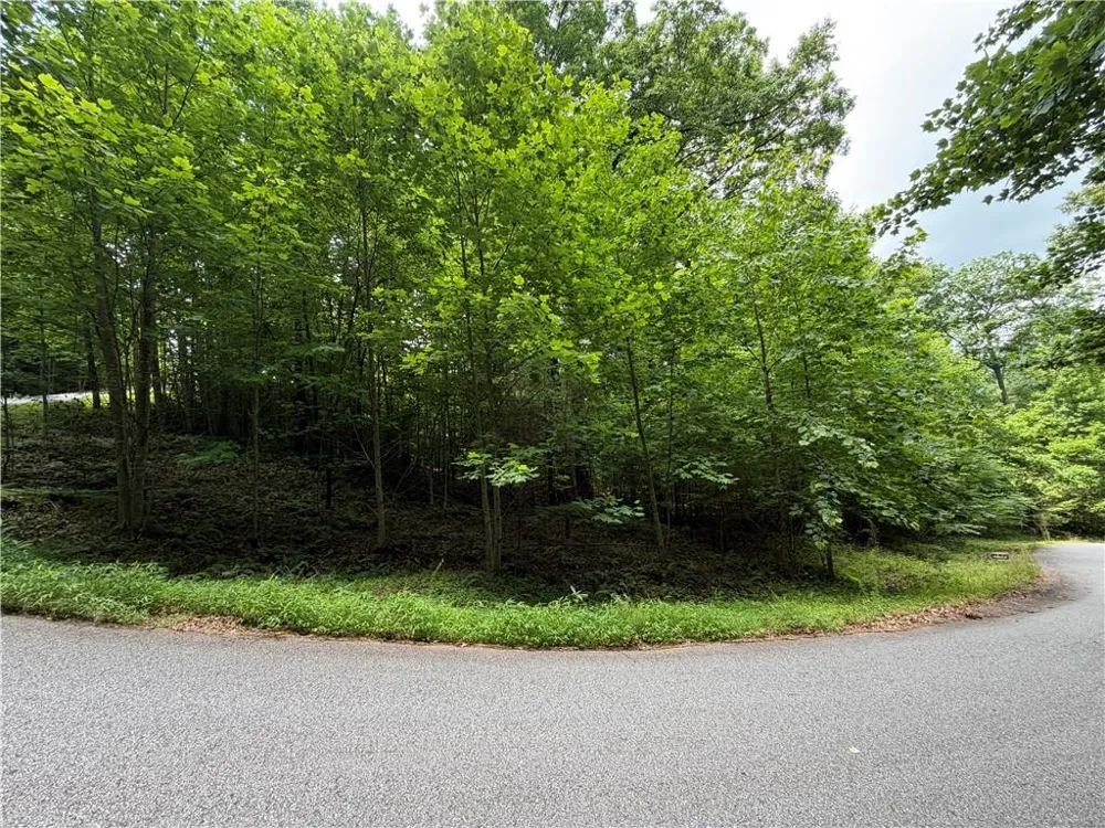Lot 19 Mill Ridge Rd Hiawassee, GA 30546