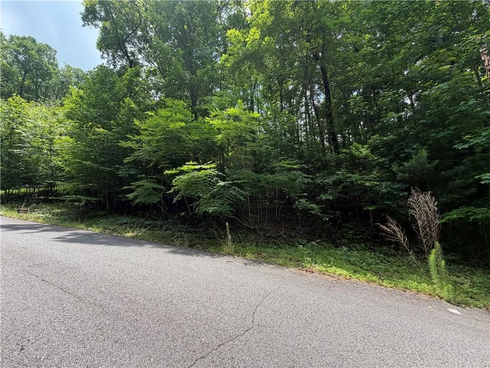 Lot 19 Mill Ridge Rd Hiawassee, GA 30546