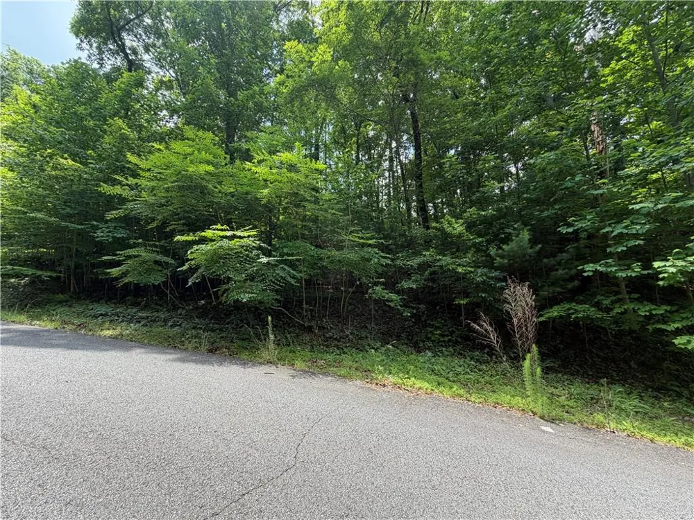 Lot 19 Mill Ridge Rd Hiawassee, GA 30546