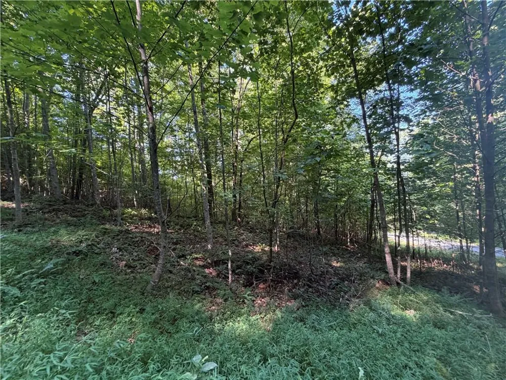 Lot 19 Mill Ridge Rd Hiawassee, GA 30546