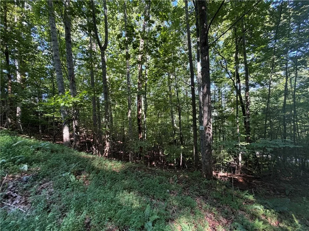 Lot 19 Mill Ridge Rd Hiawassee, GA 30546