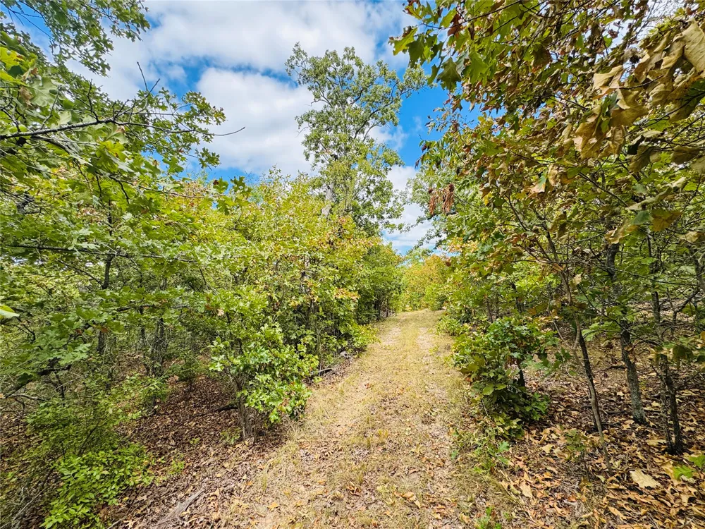 11825 NS Ns 3650 Road Wewoka, OK 74884