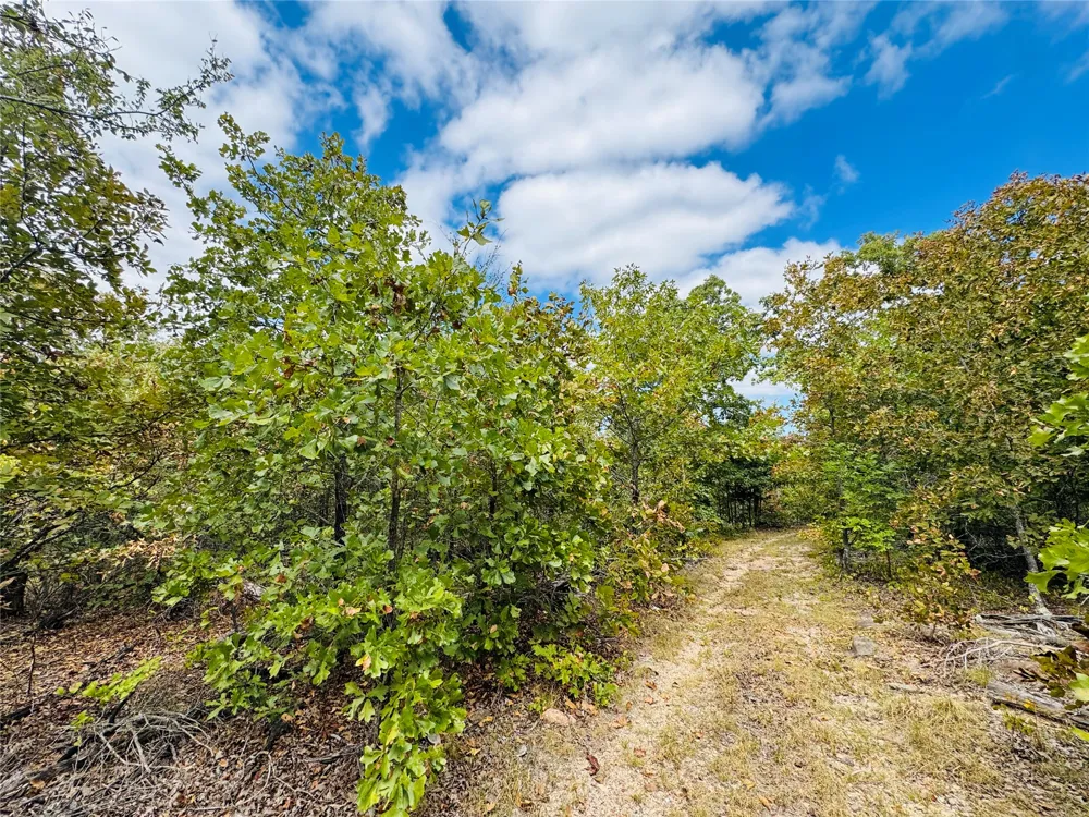 11825 NS Ns 3650 Road Wewoka, OK 74884