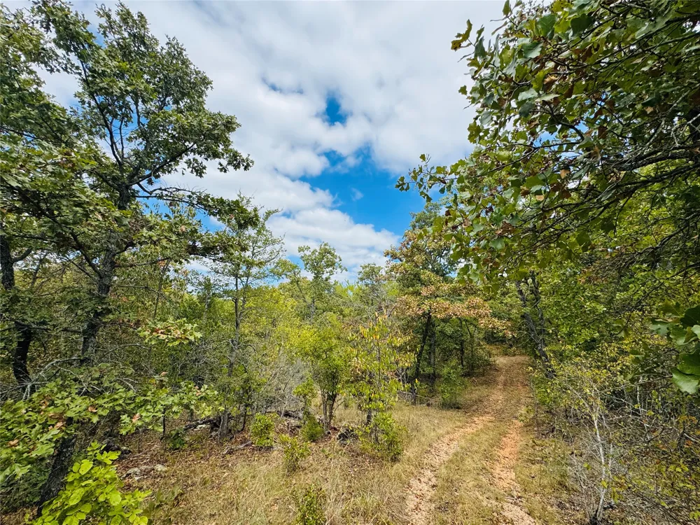 11825 NS Ns 3650 Road Wewoka, OK 74884