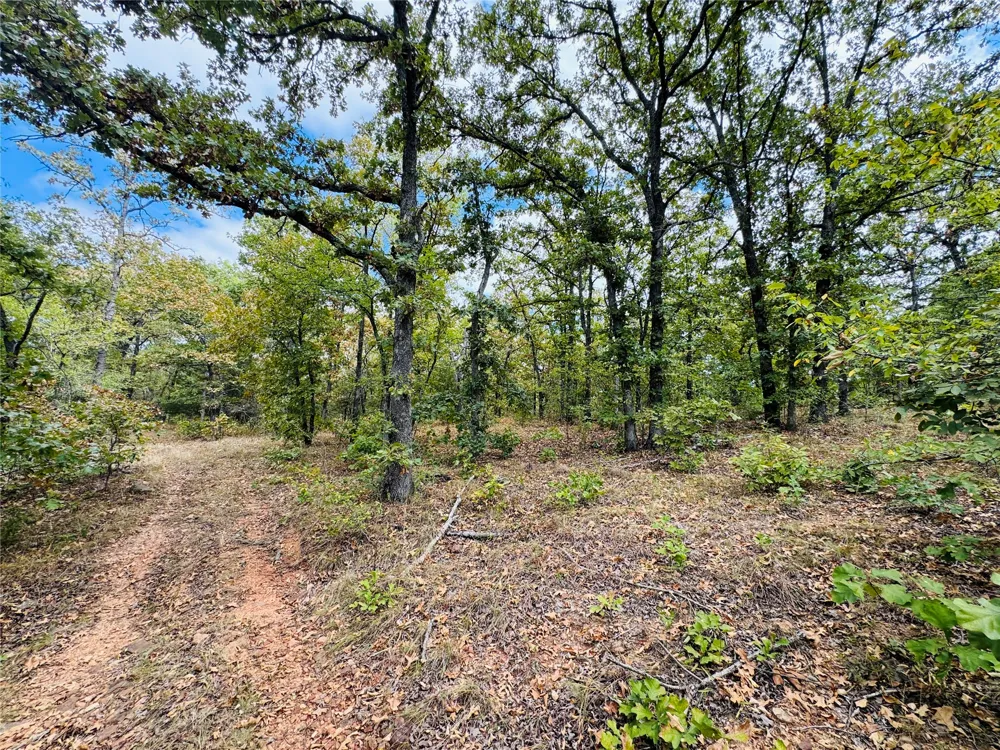 11825 NS Ns 3650 Road Wewoka, OK 74884